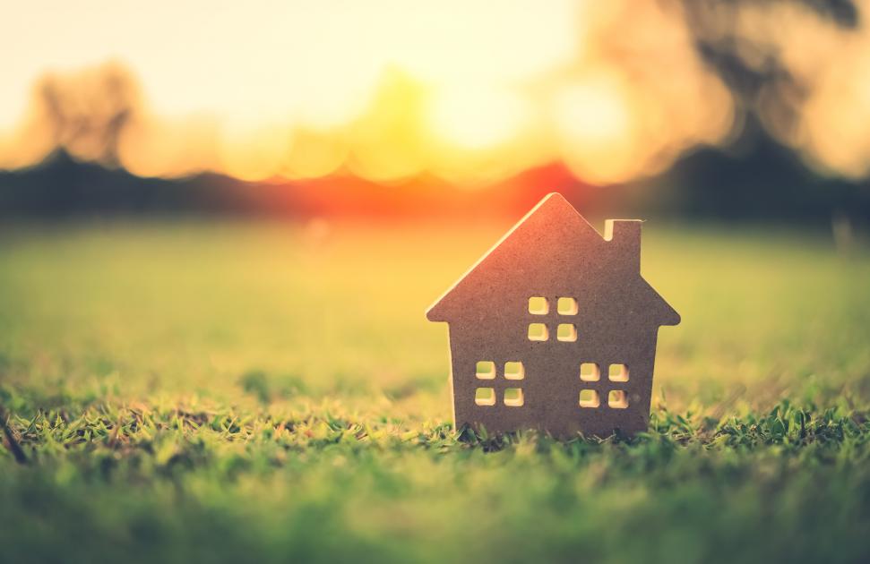 maison négos aci msp