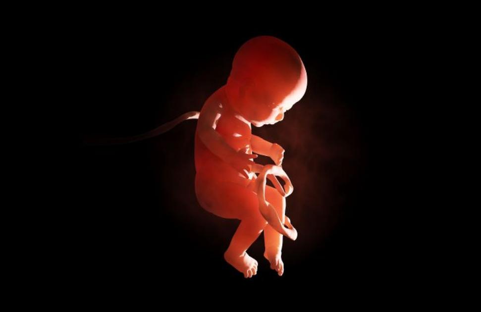 Association nationale spina bifida et handicaps associés