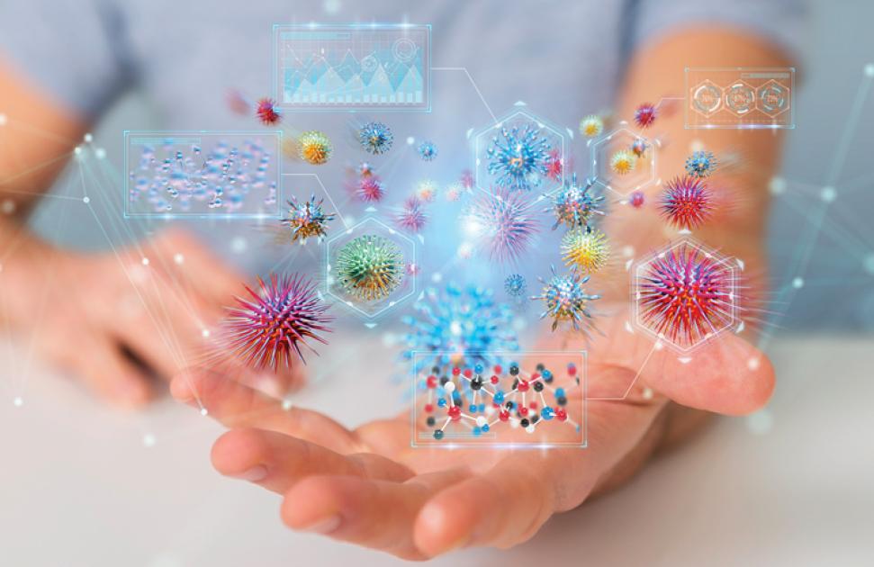 ANGELE, allergies complexes