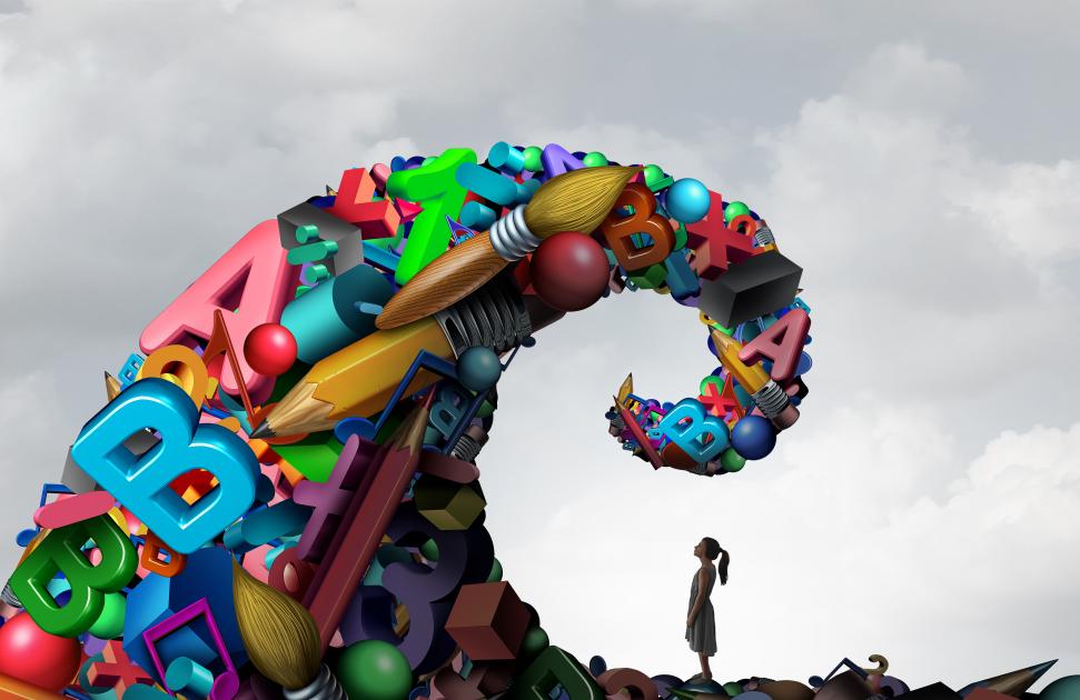 TSLA dyslexie formation DU troubles de l'apprentissage