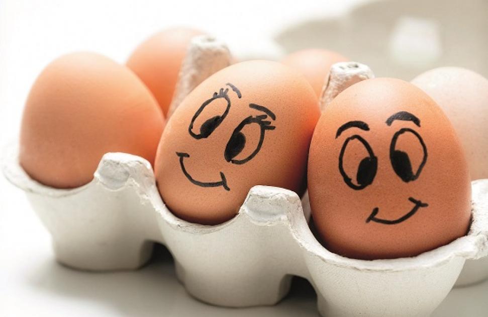 oeufs patients porcelaine