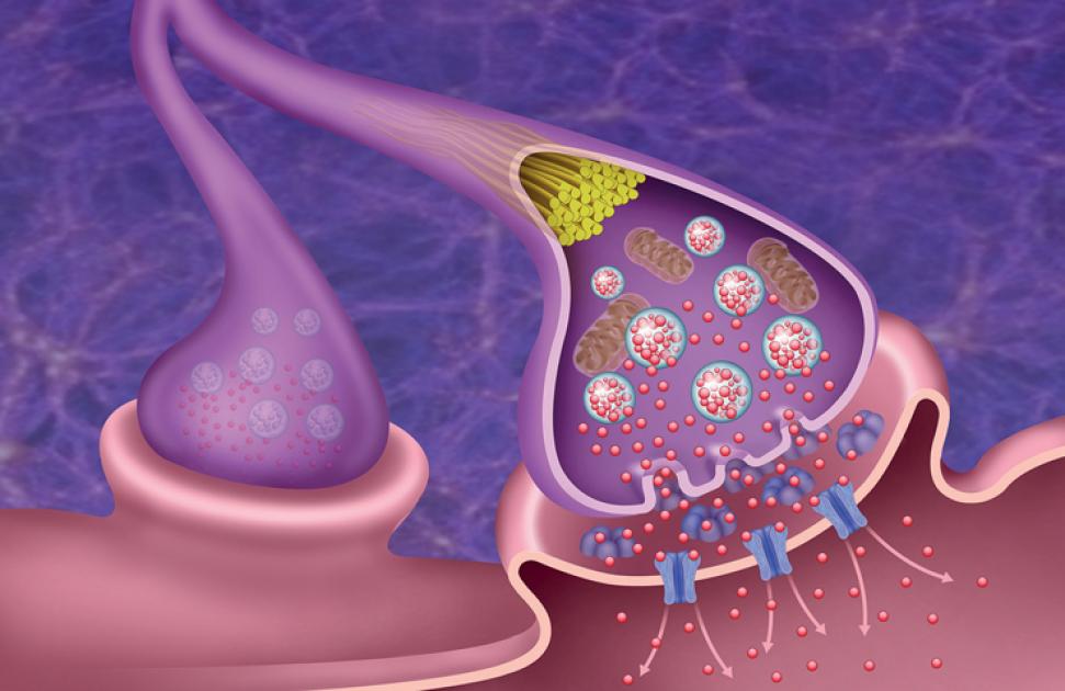 Maladie de Parkinson