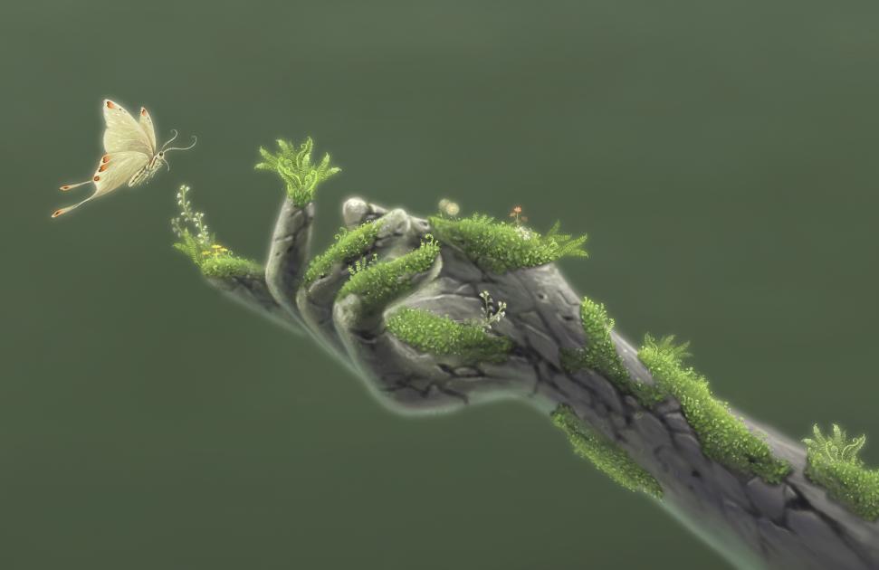 one health animal plante humain