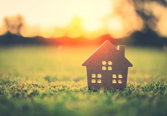 maison négos aci msp