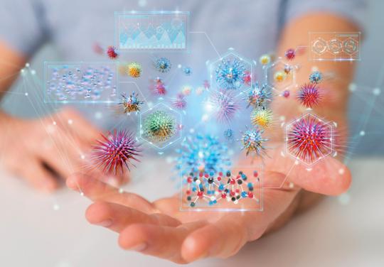 ANGELE, allergies complexes