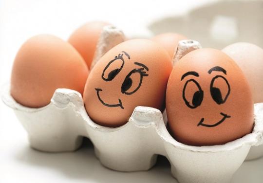 oeufs patients porcelaine