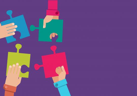 puzzle organisation soins primaires Duquesnel