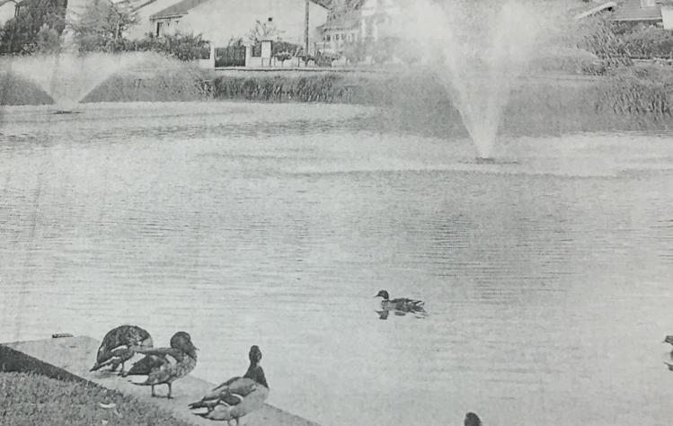 Cède clientèle avec vente de murs - Val d'Oise